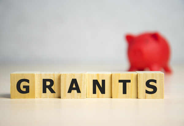 the word of GRANTS on building blocks concept.
